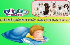 Giải mã giấc mơ thấy đàn chó - Con số nào may mắn?