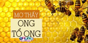 Điềm báo mơ thấy tổ ong bật mí điều gì? Đánh số gì bất bại?