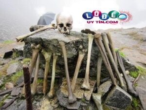 Chiêm bao mơ thấy xương người đánh số gì hợp phong thủy?