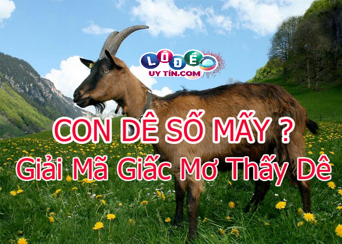 Chiêm bao mơ thấy con dê có ý nghĩa gì, đánh số mấy?