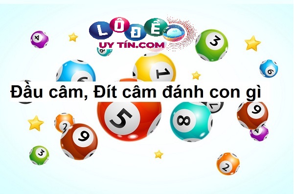 Lô đít câm – lô đầu câm đánh con gì dễ trúng nhất?