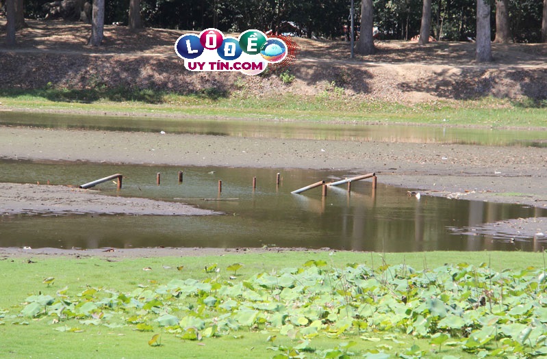 Giải mã giấc mơ thấy ao cạn nước đánh con gì