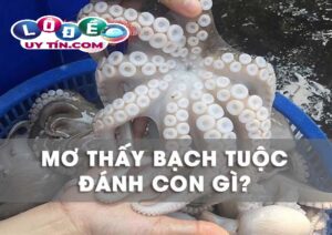 Nằm mơ thấy bạch tuộc - Nằm mơ thấy bạch tuộc đánh con gì?