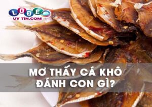 Giải mã giấc mơ thấy cá khô là điềm gì, đánh số mấy