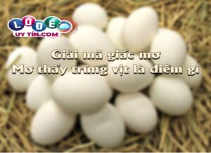 Giải mã giấc mơ thấy trứng vịt lộn là điềm báo tốt hay xấu?