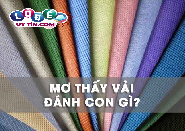 Chiêm bao mơ thấy vải đánh số mấy? Bật mí ý nghĩa thú vị