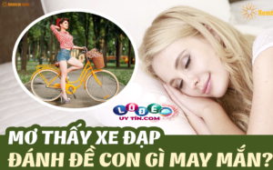 Mơ thấy xe đạp có ý nghĩa gì đánh con gì dễ ăn?