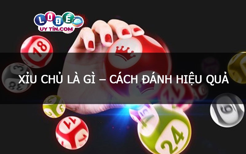 Dự đoán xỉu chủ miền Bắc hôm nay với độ chính xác cao