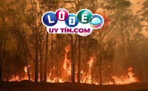 Mơ thấy cháy rừng báo điềm gì, đánh con số gì?