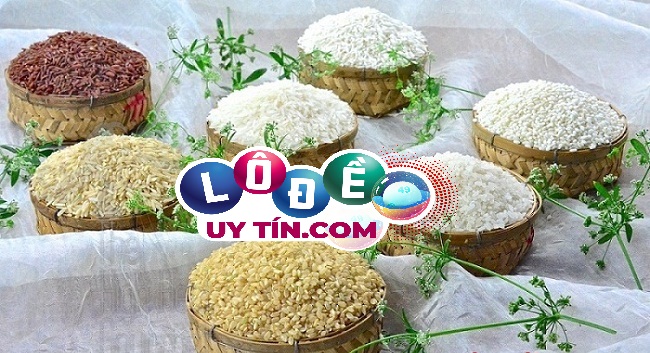 Mơ thấy lúa gạo là điềm gì, đánh số nào?