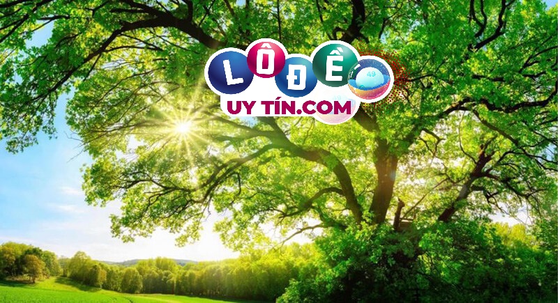 Nằm mơ thấy cây cối là điềm báo gì, đánh số gì?