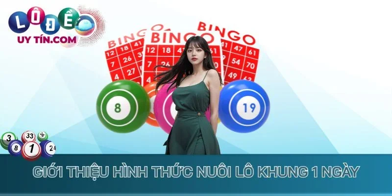Nuôi Lô Khung 1 Ngày - Chọn Cầu Đúng, Vào Tiền Thắng Lớn 1 Giới thiệu hình thức nuôi lô khung 1 ngày