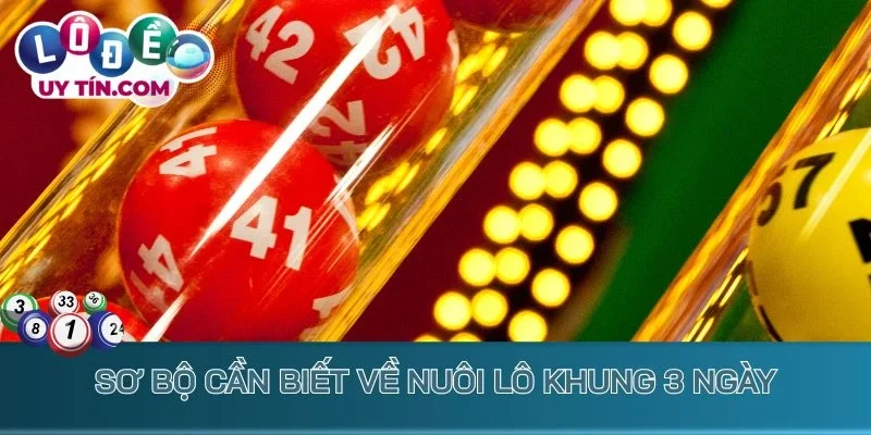 Nuôi Lô Khung 3 Ngày - Mẹo Bắt Lô Đề Thông Thái Từ Cao Thủ 1 Sơ bộ cần biết về nuôi lô khung 3 ngày